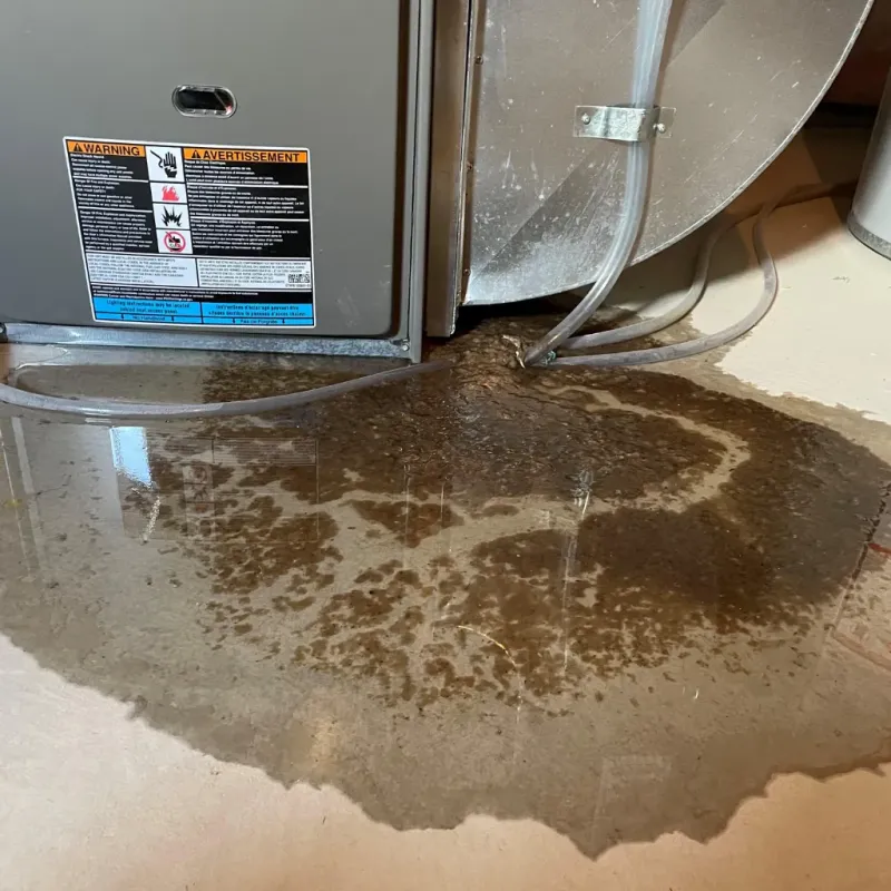 Appliance Leak Cleanup in Wirt County, WV