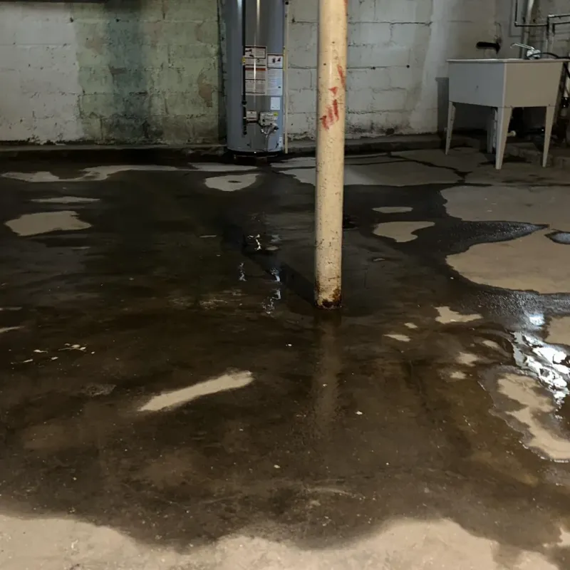 Emergency Water Extraction And Removal in Wirt County, WV